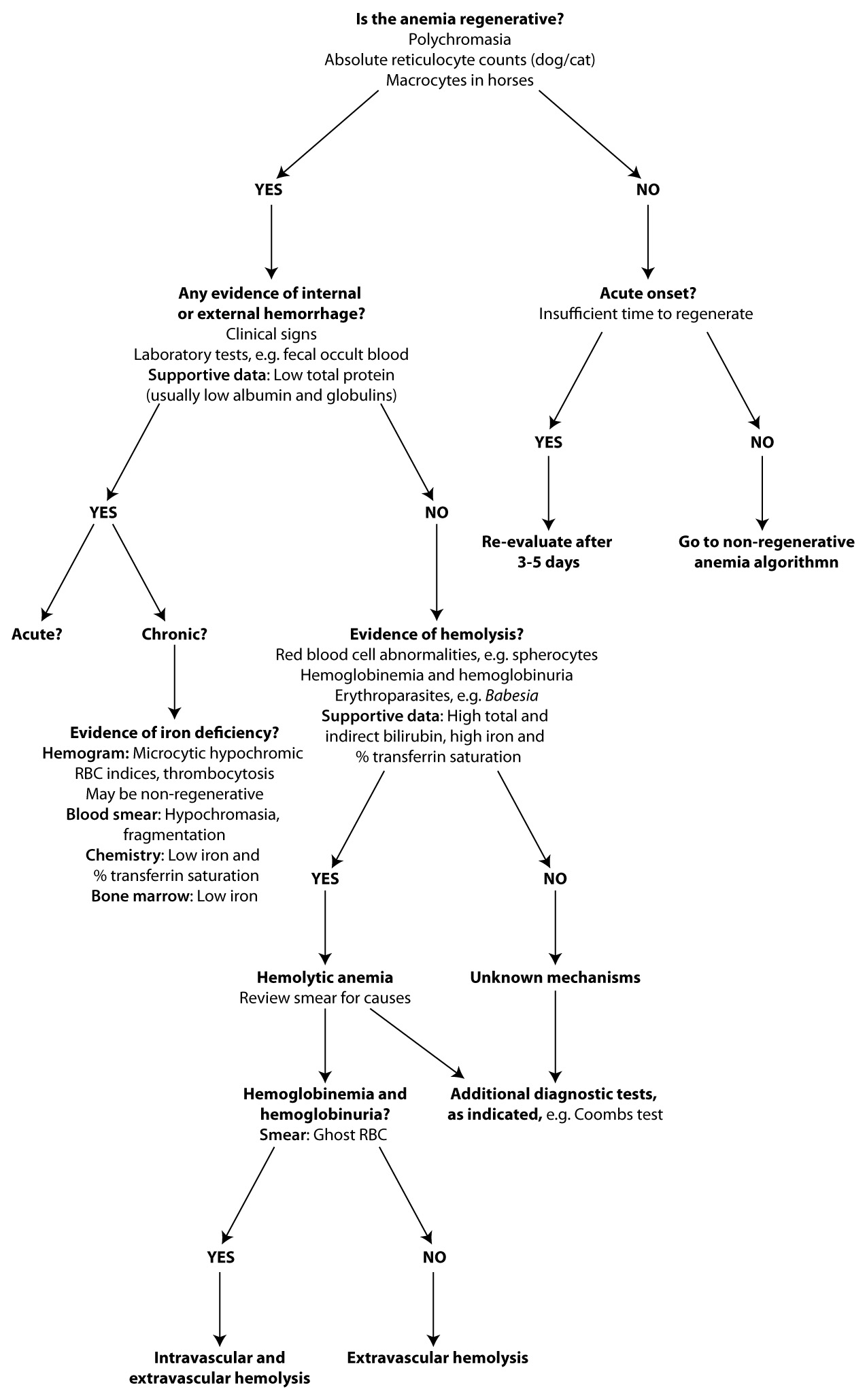 Diagnosing Anemia Chart