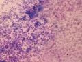Variable staining