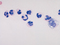 Inflammation (dog)