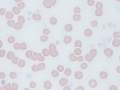 Degranulated platelets