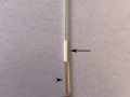 Lipemia