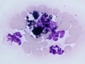 Melanophage