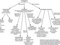 Equine anemia algorithm