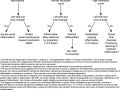 Equine inflammation algorithm