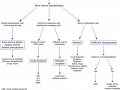 Equine pancytopenia algorithm