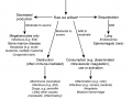Equine thrombocytopenia algorithm