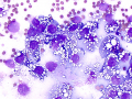 Ovarian tumor