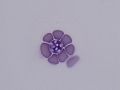 Babesia canis