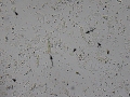 Granular cast