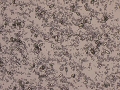 Calcium carbonate (elephant)