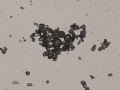 Calcium carbonate