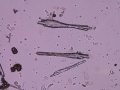 Unknown needles