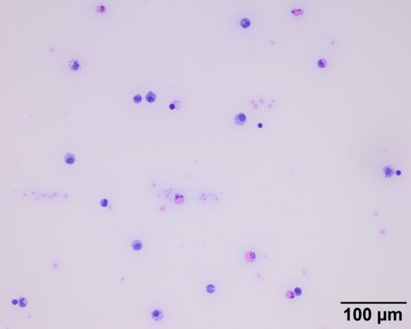 Fig1COM_2019