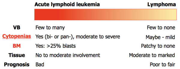 ALL lymphoma spectrum
