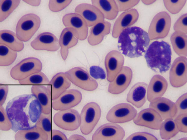 August 2014_figure4