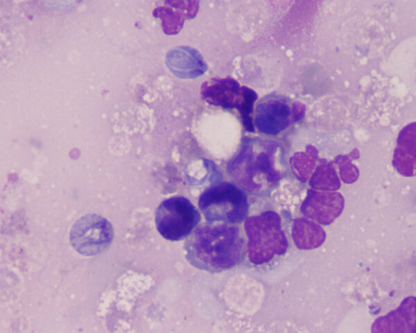 August2014_Figure2