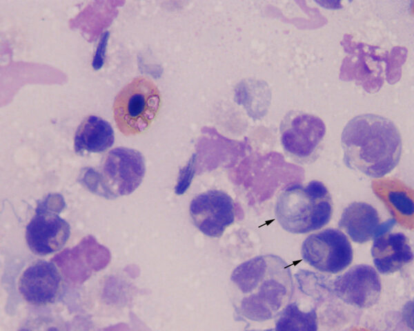 August2014_Figure3