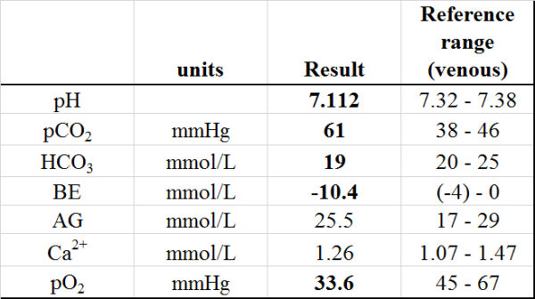 Blood gas results