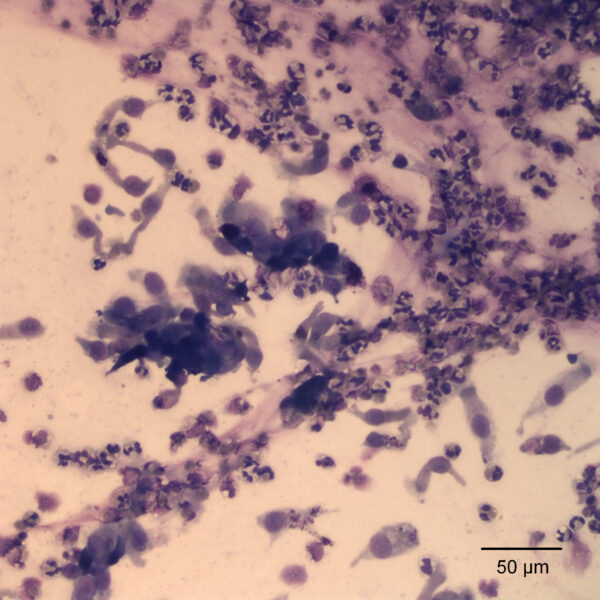 May2018_Fig1