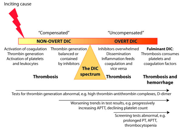 DIC continuum