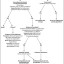 Causes of anemia | eClinpath
