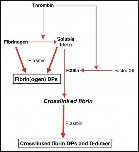 Fibrinolytic pathway tests measure of clot breakdown products, FDPs and D-dimer