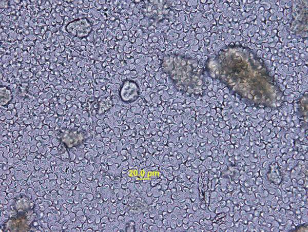 Fig 2_Dec 2014
