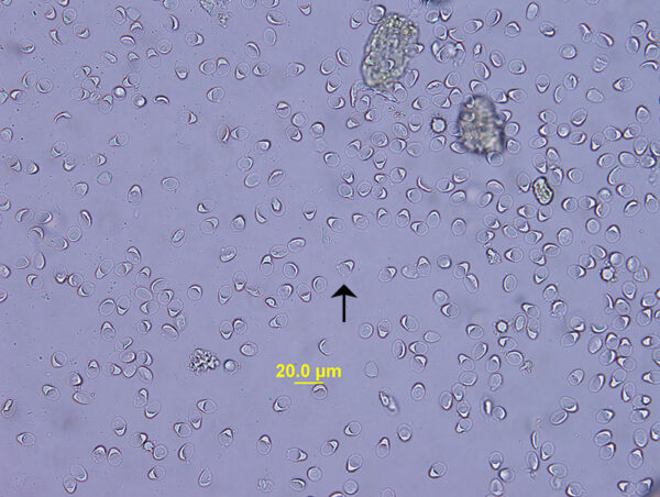 Fig 3_Dec 2014
