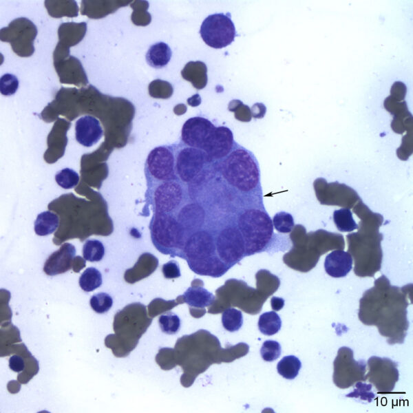 Fig3A_Sept2015