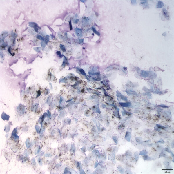 Fig4_May2015