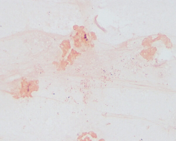 Fig4_September2014
