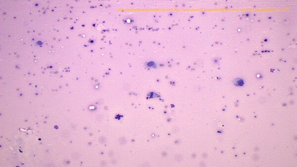 Figure 2_Aug 2018