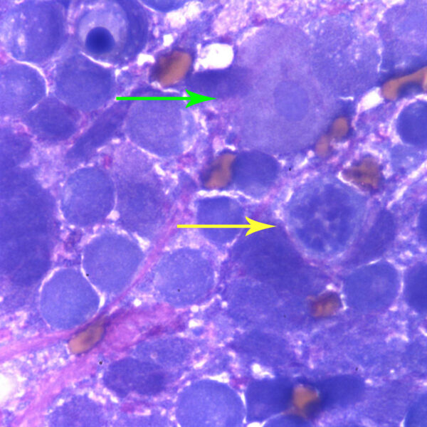 Figure 3a_Nov2014 answer