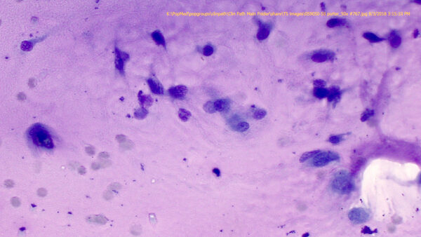 Figure 4_Aug 2018