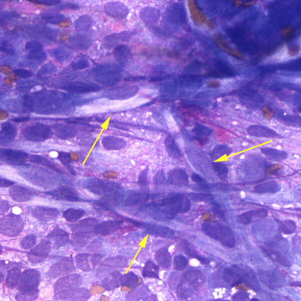 Figure 4_Nov2014