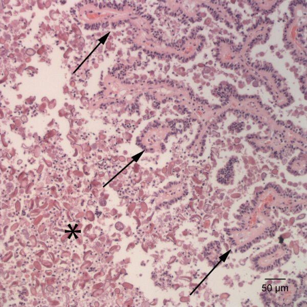 Oct2015_Fig6