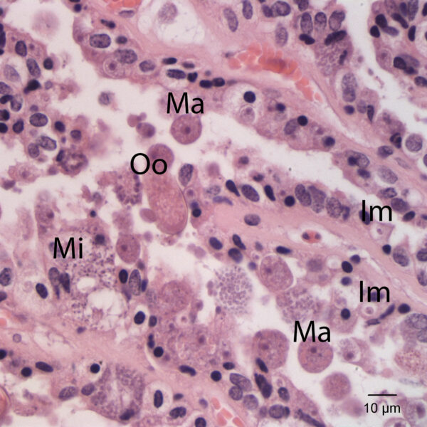 Oct2015_Fig7