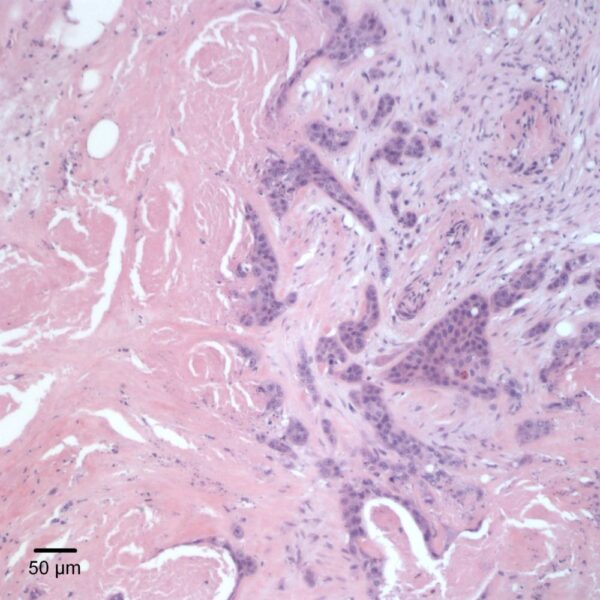 Fig4B_Sept2017
