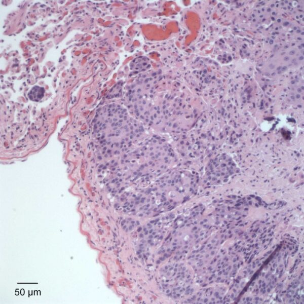 Fig3B_Sept2017