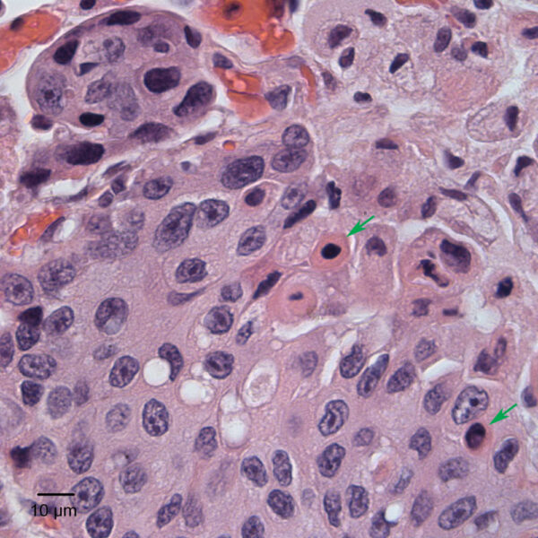 Fig3C_Sept2017