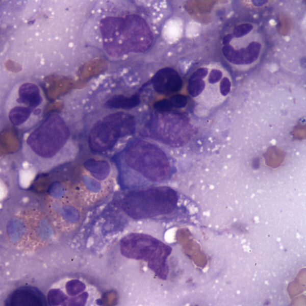 Fig3_Aug2015