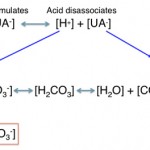 Titration acidosis equations