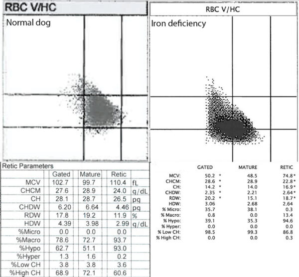 ADVIA reticulocyte indices
