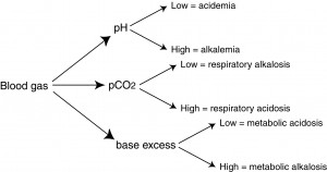 Blood gas analysis