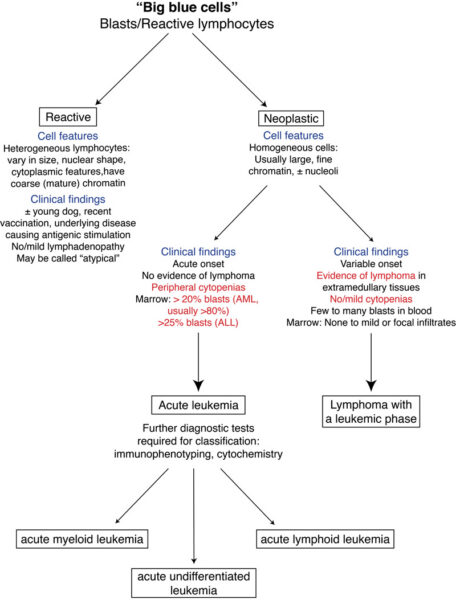 Blast algorithm