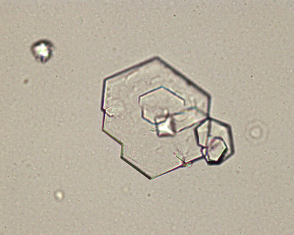 Cystine