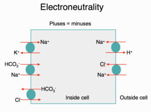 Electroneutrality