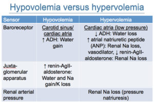 Hypovolemia versus hypervolemia