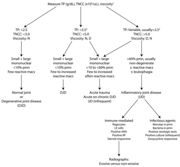 Synovial algorithm