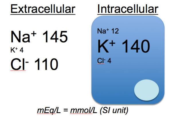 Distribution of NaCl